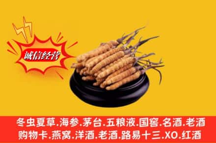 喀什英吉沙县求购回收虫草多少钱每克